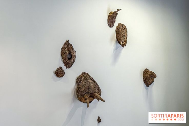 Lélia Demoisy au Domaine de Chamarande : une exposition autour des récits de forêts
