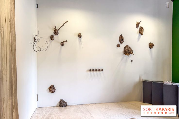 Lélia Demoisy au Domaine de Chamarande : une exposition autour des récits de forêts