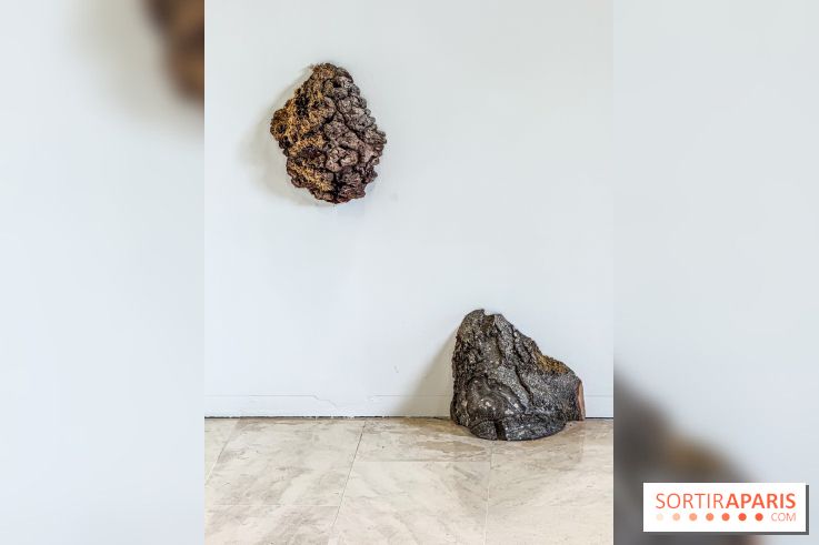Lélia Demoisy au Domaine de Chamarande : une exposition autour des récits de forêts