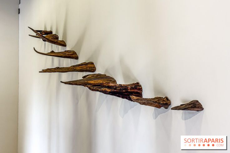 Lélia Demoisy au Domaine de Chamarande : une exposition autour des récits de forêts