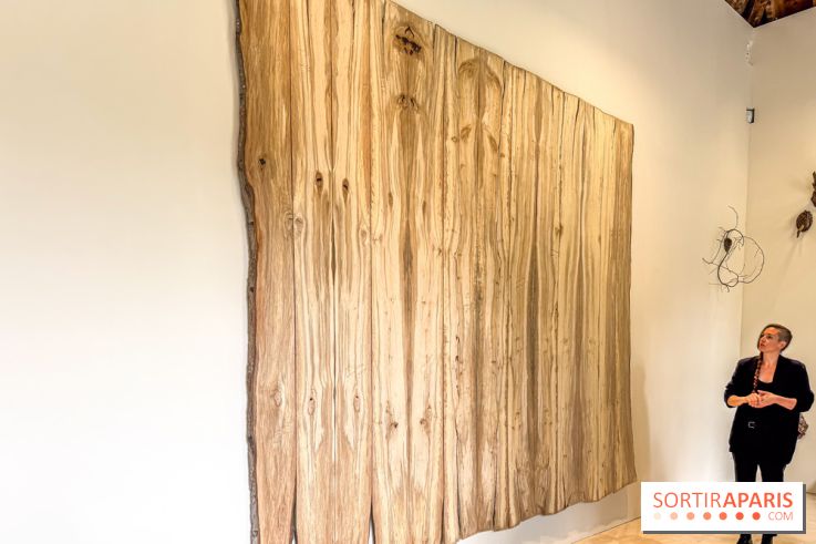 Lélia Demoisy au Domaine de Chamarande : une exposition autour des récits de forêts