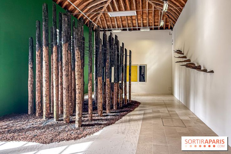 Lélia Demoisy au Domaine de Chamarande : une exposition autour des récits de forêts