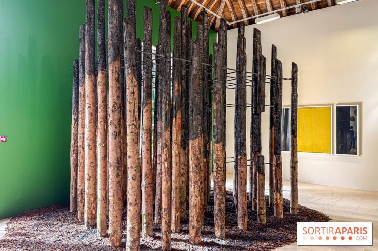 Lélia Demoisy au Domaine de Chamarande : une exposition autour des récits de forêts
