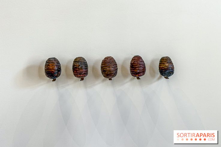 Lélia Demoisy au Domaine de Chamarande : une exposition autour des récits de forêts