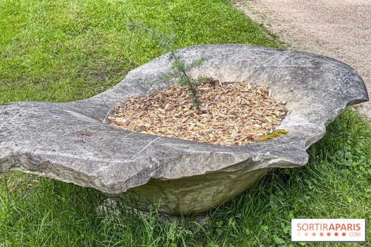 Lélia Demoisy au Domaine de Chamarande : une exposition autour des récits de forêts