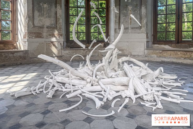 Lélia Demoisy au Domaine de Chamarande : une exposition autour des récits de forêts