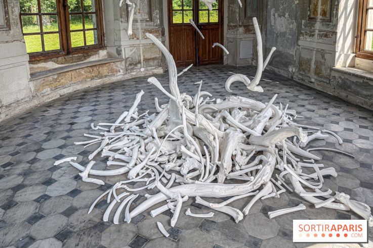 Lélia Demoisy au Domaine de Chamarande : une exposition autour des récits de forêts