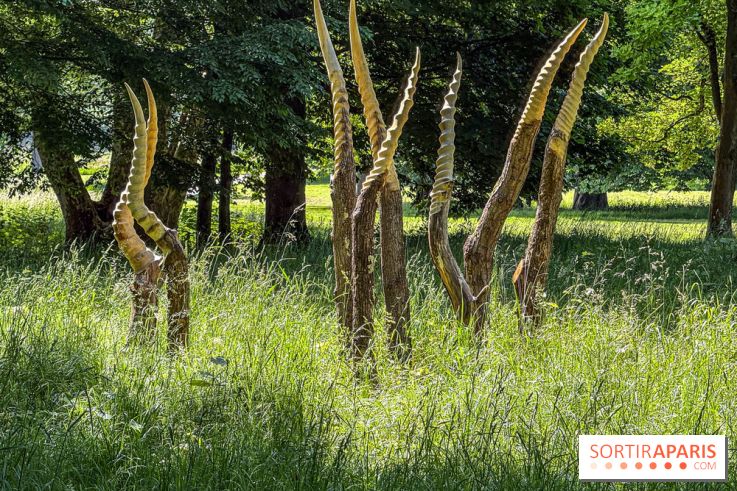 Lélia Demoisy au Domaine de Chamarande : une exposition autour des récits de forêts