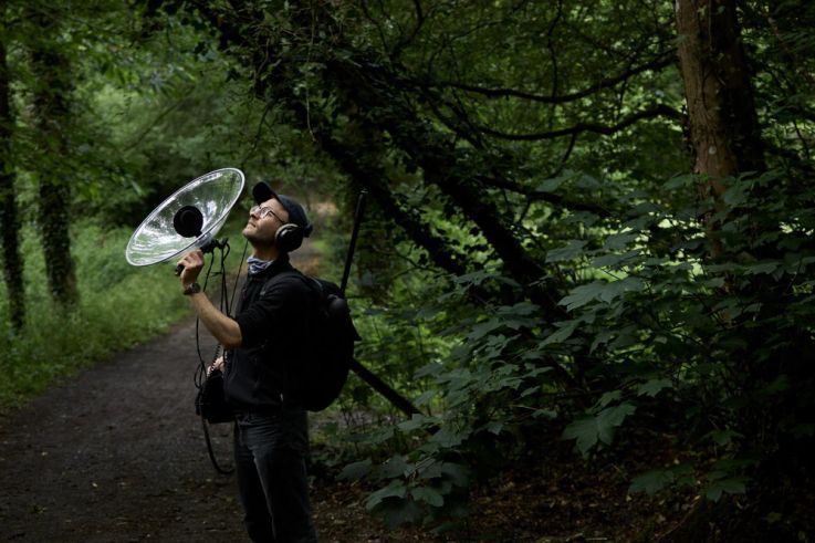 Les Nuits des Forêts 2026 : 17 jours pour écouter le vivant en Île-de-France