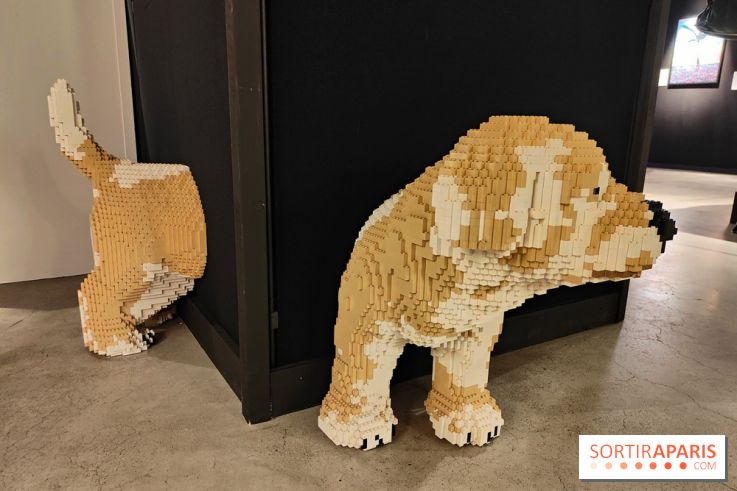 Bricks of Wonder, l'exposition à l'espace Champerret