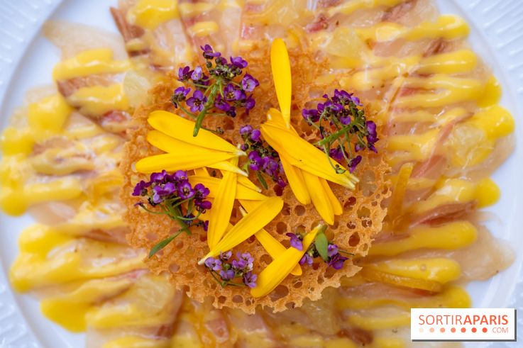 La terrasse jardin du Sax Hotel avec piscine - lcarpaccio de sériole