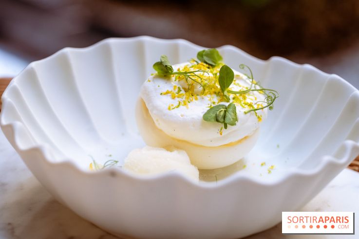 La terrasse jardin du Sax Hotel avec piscine - pavlova citron