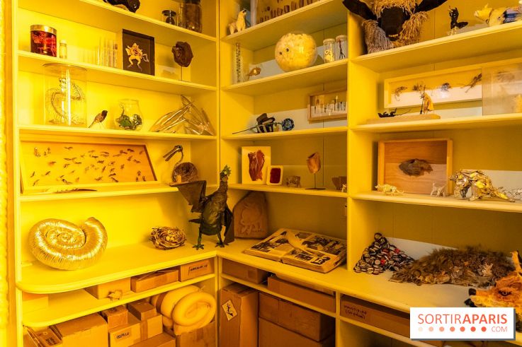 La Vie de Château, l'exposition contemporaine inédite au Château de la Roche Guyon - Val-d'Oise