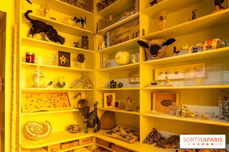 La Vie de Château, l'exposition contemporaine inédite au Château de la Roche Guyon - Val-d'Oise