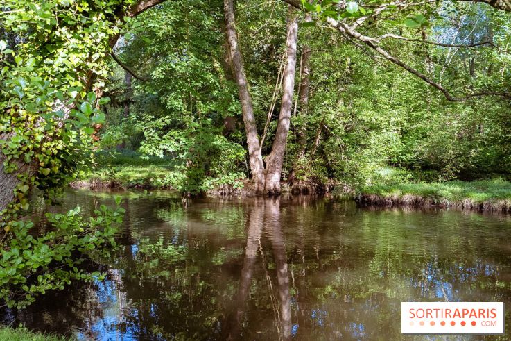 Le Parc et château de Lardy en Essonne - photos