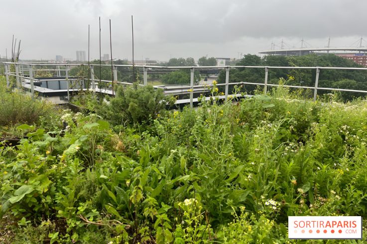 L'aromathèque Persépolis, sur le toit de la bourse du travail à Saint-Denis - nos photos