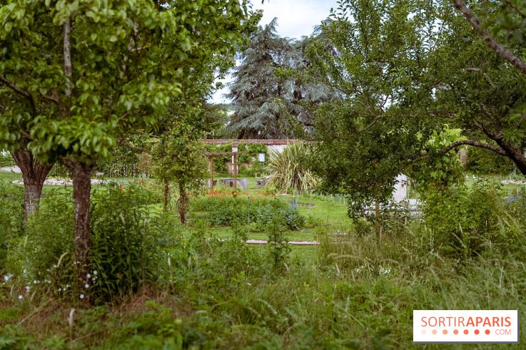 Le domaine du Chateau de la Celle SainCloud dans les Yvelines - photos