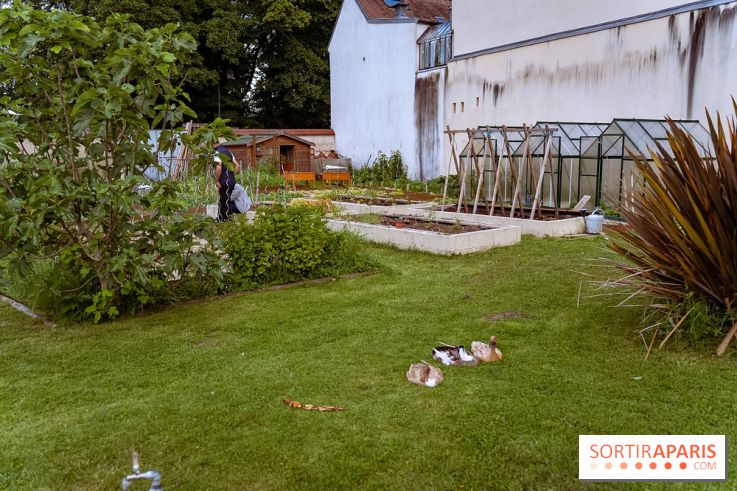 Le domaine du Chateau de la Celle SainCloud dans les Yvelines - photos