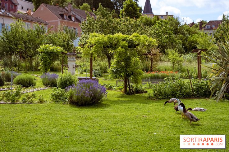 Le domaine du Chateau de la Celle SainCloud dans les Yvelines - photos