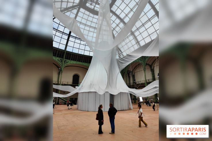 Nous, frissons d'étoile : une installation immersive contemporaine au Grand Palais