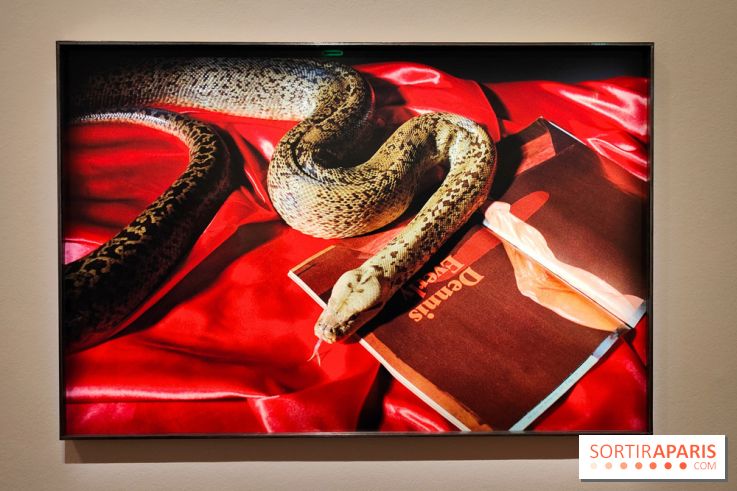 Exposition : Camille Vivier en rétrospective à la Maison Européenne de la Photographie