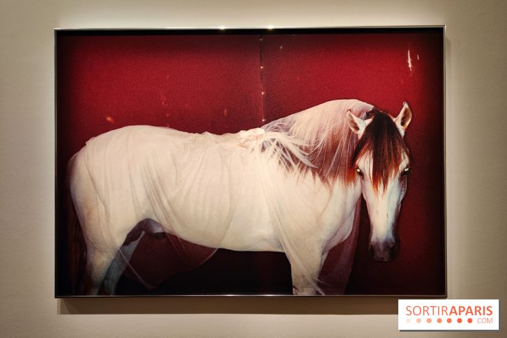 Exposition : Camille Vivier en rétrospective à la Maison Européenne de la Photographie