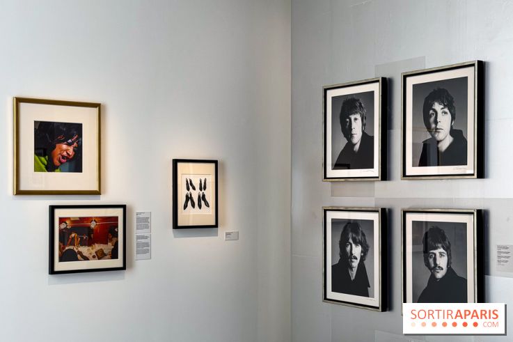 Fragiles beautés : la collection de photos d'Elton John exposée au Jeu de Paume