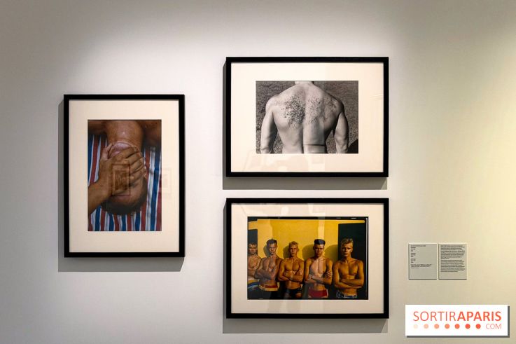Fragiles beautés : la collection de photos d'Elton John exposée au Jeu de Paume