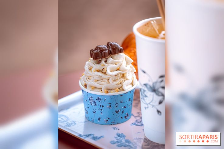 Le comptoir à glaces de Pleincœur et ses coupes glacées - photos