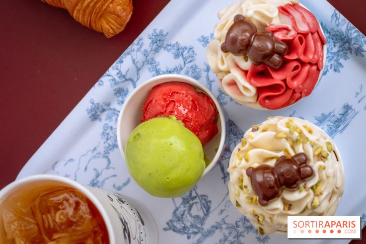 Le comptoir à glaces de Pleincœur et ses coupes glacées - photos