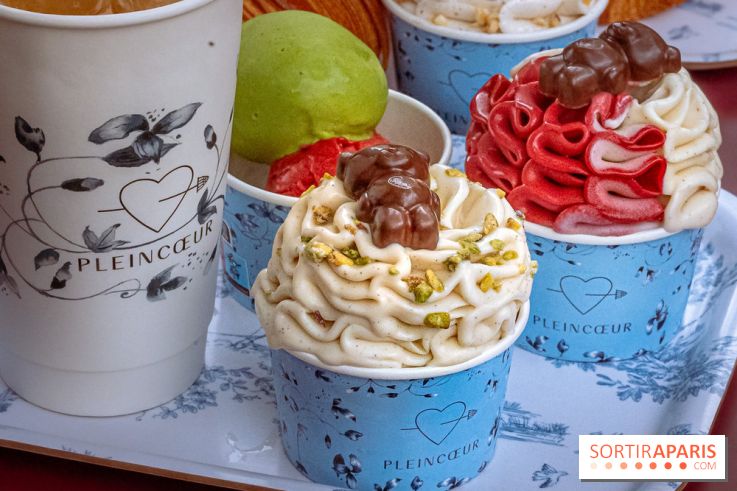 Le comptoir à glaces de Pleincœur et ses coupes glacées - photos
