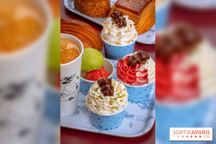 Le comptoir à glaces de Pleincœur et ses coupes glacées - photos