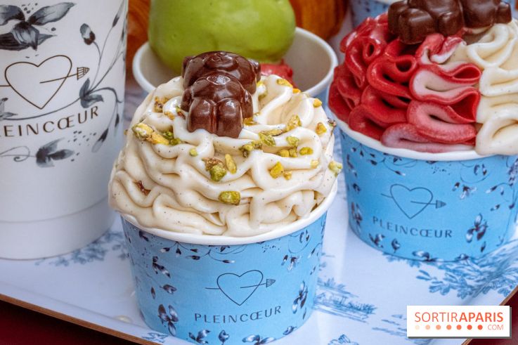 Le comptoir à glaces de Pleincœur et ses coupes glacées - photos