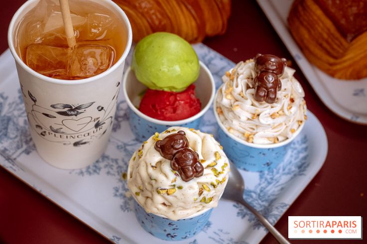 Le comptoir à glaces de Pleincœur et ses coupes glacées - photos