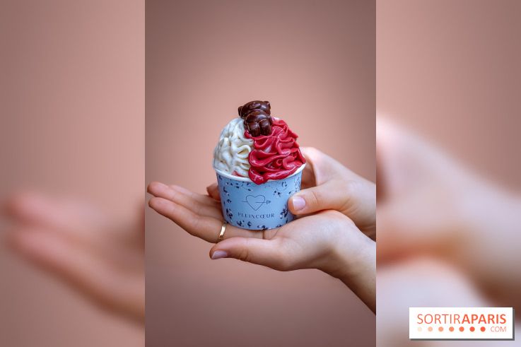 Le comptoir à glaces de Pleincœur et ses coupes glacées - photos