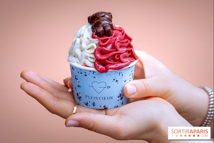 Le comptoir à glaces de Pleincœur et ses coupes glacées - photos