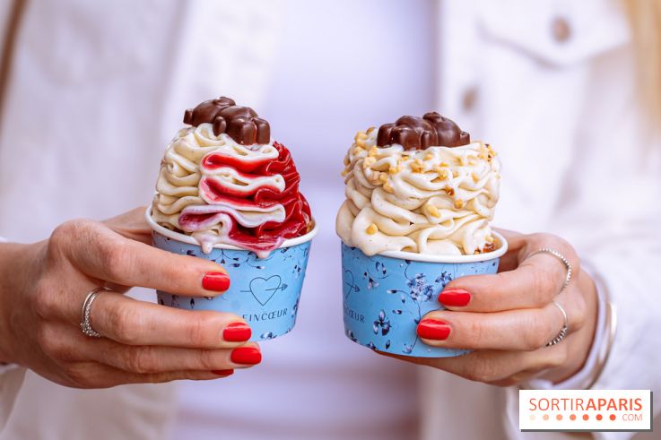 Le comptoir à glaces de Pleincœur et ses coupes glacées - photos