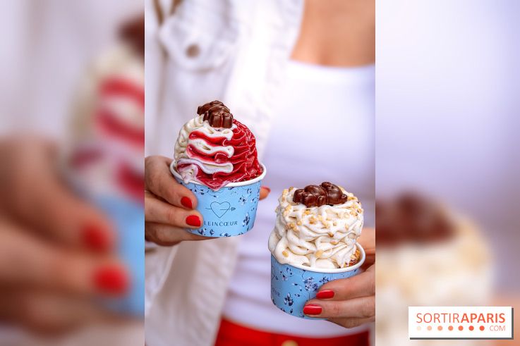 Le comptoir à glaces de Pleincœur et ses coupes glacées - photos