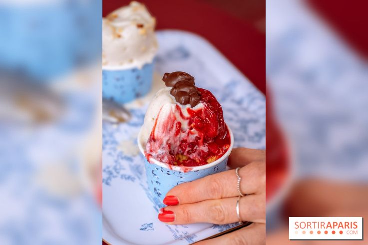 Le comptoir à glaces de Pleincœur et ses coupes glacées - photos