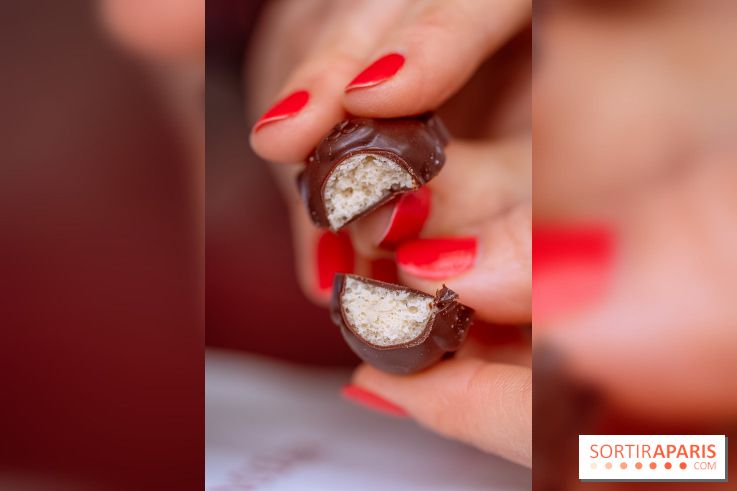 Le comptoir à glaces de Pleincœur et ses coupes glacées - photos