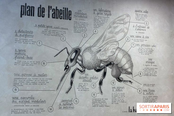 Ateliers autour de l'apithérapie