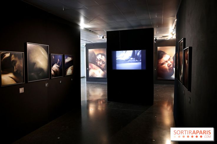 Sumo, forces sacrées : nos photos de l'exposition