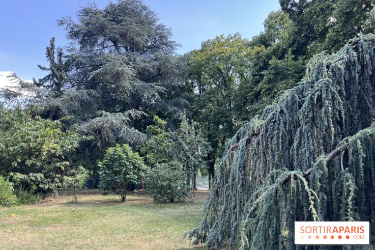 Le parc de la Cité Universitaire, espace vert unique au monde - nos photos