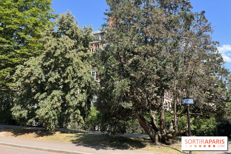 Le parc de la Cité Universitaire, espace vert unique au monde - nos photos