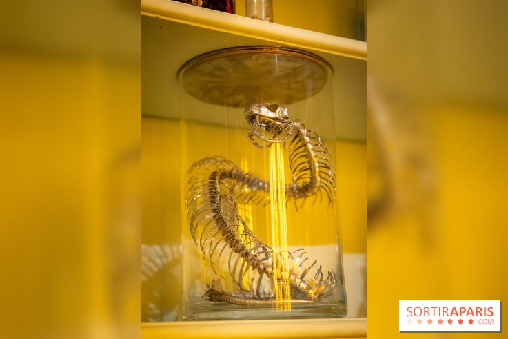 Fauna Fabulosa : un bestiaire fantastique au château de la Roche Guyon dans le Val d'Oise - photos