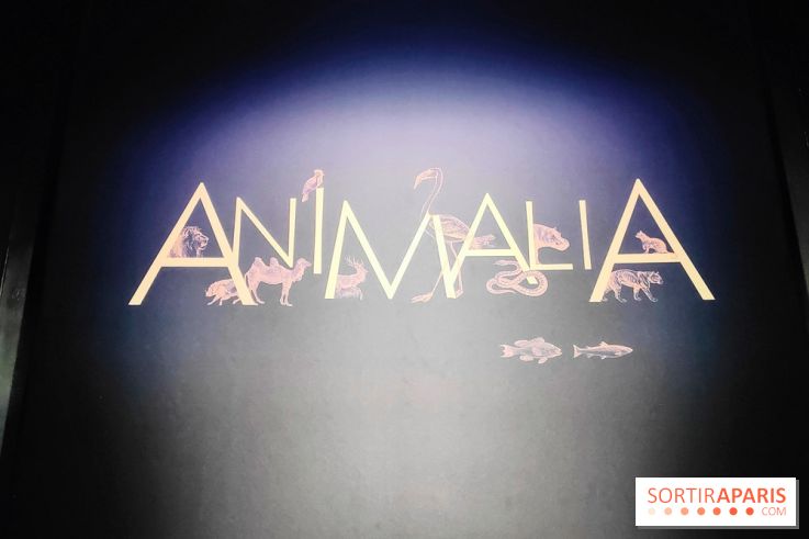 Expo Animalia : quand les animaux inspirent les artistes à travers les siècle à l'Hôtel de la Marine