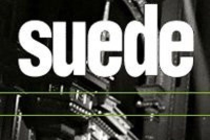 suede