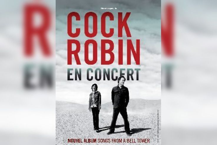 cock robin