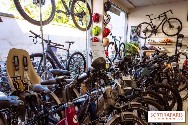 Liaisons douces à Fontainebleau : la forêt à vélo, les photos