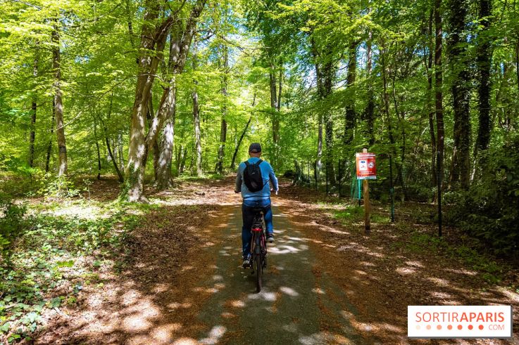Liaisons douces à Fontainebleau : la forêt à vélo, les photos